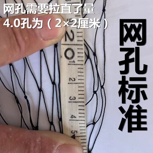 辣条专用单层防蛇尼龙网校园园区库房黑色尼龙长条双结柔软小区用