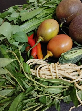 德宏傣味舂鸡爪新鲜蔬菜香料组合酸茄香柳芫荽柠檬折耳根小米辣