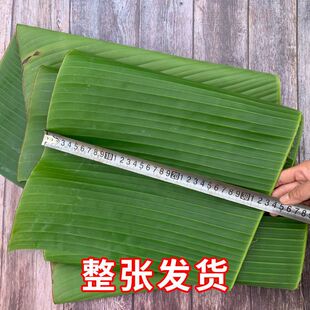 云南新鲜芭蕉叶纯天然也生香蕉叶做糍粑粽子糕点包烧摆盘烤鸡