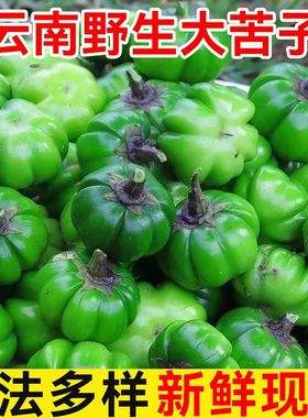 云南云南苦子果新鲜野味大苦子德宏现摘特色傣味汤苦子野生野菜