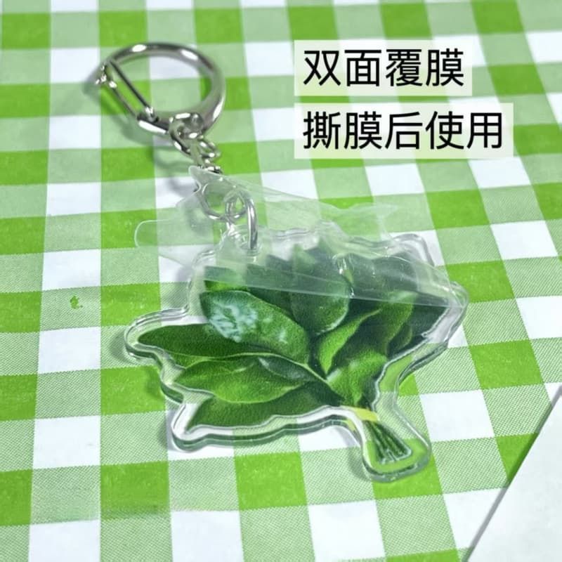 创意亚克力柚子叶钥匙扣去晦气幸运书包挂件小众趣味送礼配饰