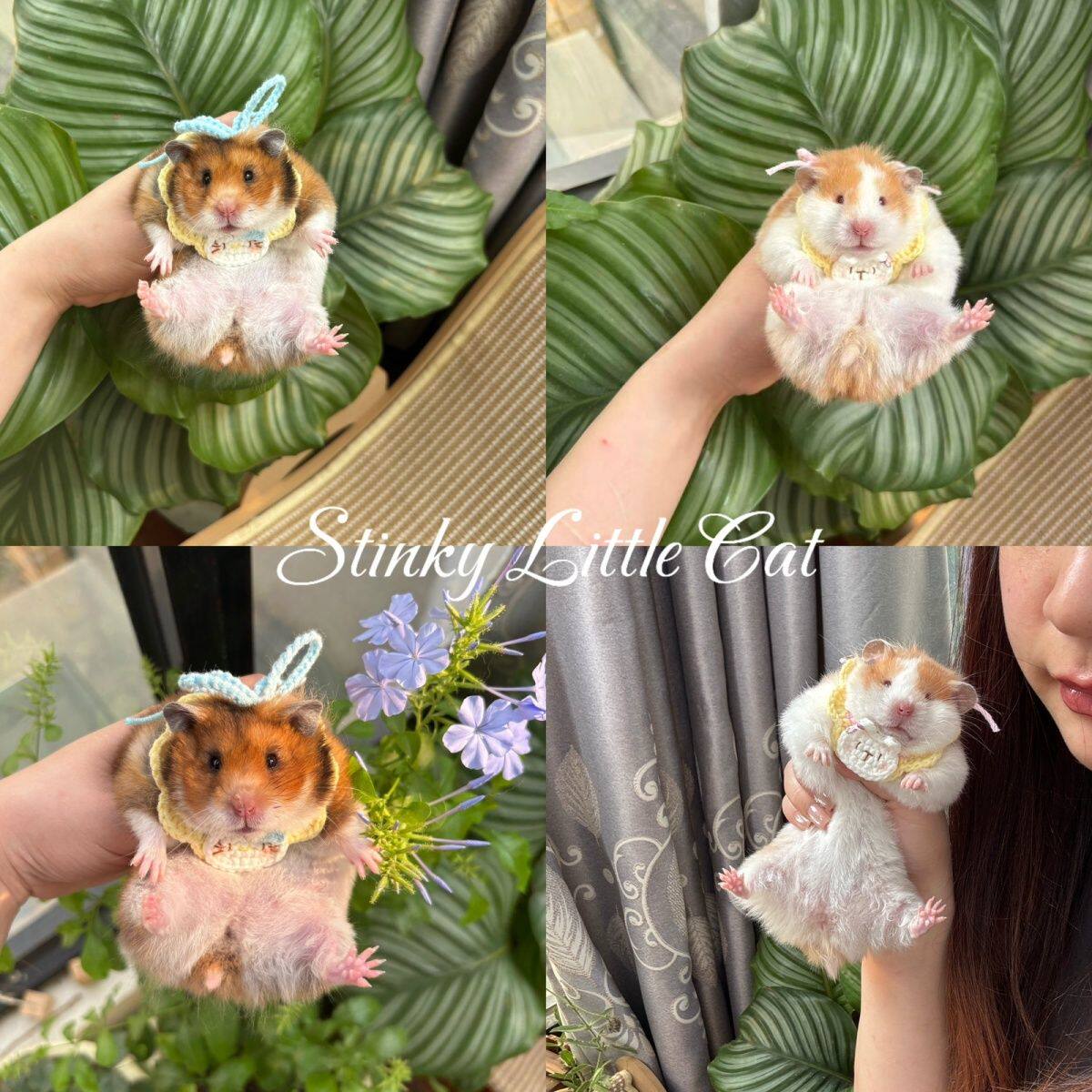 宠物猫咪口水围巾毛线针织仓鼠花枝鼠兔子可爱手工脖饰子