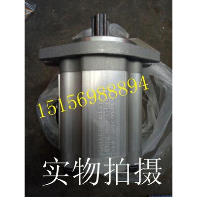 合肥赛源CBT-F4齿轮泵CBT-F423-ALP AFP AFHL ALΦL ALHL液压油泵