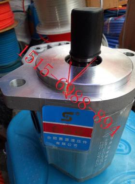 合肥赛源CBQZC-F532-ALPS ALHS CLPS CLHS双转向齿轮油泵CBQZC-F5