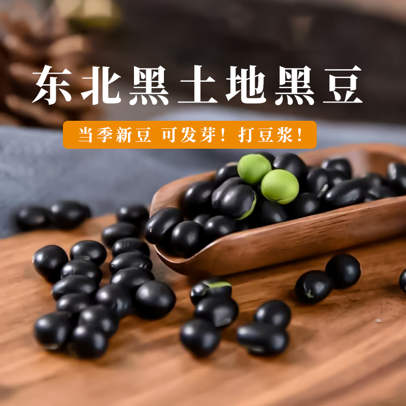 东北黑豆生的打豆浆专用