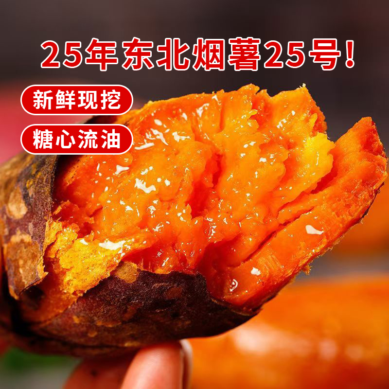 烟薯25号沙地蜜薯糖心红薯小新鲜烤地瓜东北番薯板栗软糯香农科院
