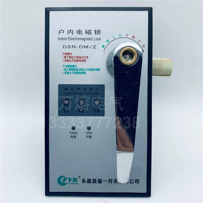 DSN2 DSN-DMZ DSN-DMY DySN-DM/Y DSN-DM/Z带电显示器户内电磁锁
