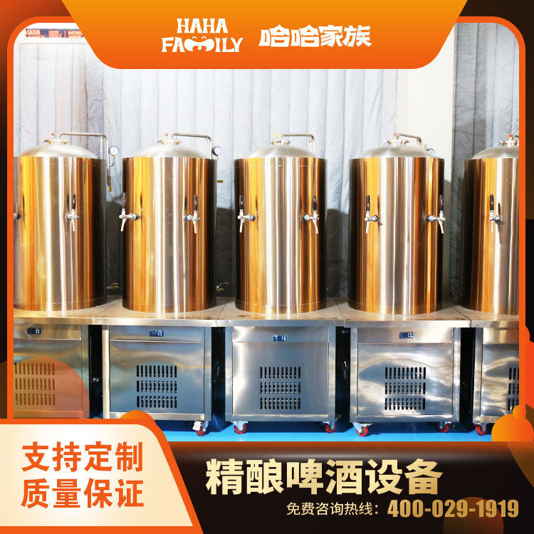 精酿啤酒加工机器 精酿啤酒配方 精酿啤酒制作技术 鲜啤生产机器