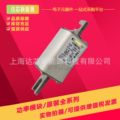 170M3069 170M3070 170M3071 170M3072 170M3073全新快速熔断器