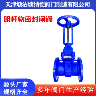 明杆软密封闸阀Z41X 16Q球墨铸铁塘沽法兰明杆软密封闸阀