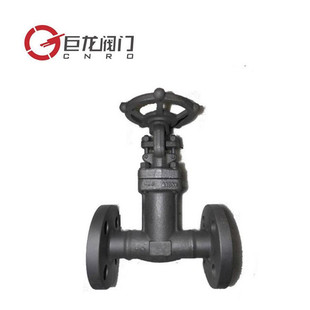 巨龙优质供应Z41Y高压自密封闸阀 电动锻钢法兰闸阀