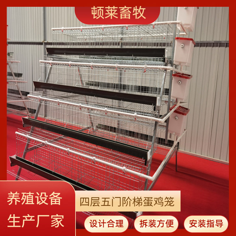 阶梯蛋鸡笼厂家4层5门阶梯式蛋鸡笼自动化框架式A型养殖厂蛋鸡笼