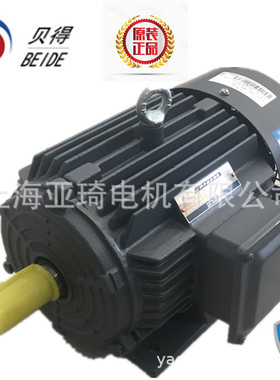 贝得电机 BEIDE电机1TL0001-2CB23-3AA5-55KW-4变频电机
