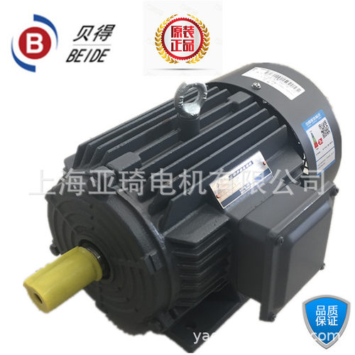 贝得电机 BEIDE电机1TL0001-2CB23-3AA5-55KW-4变频电机
