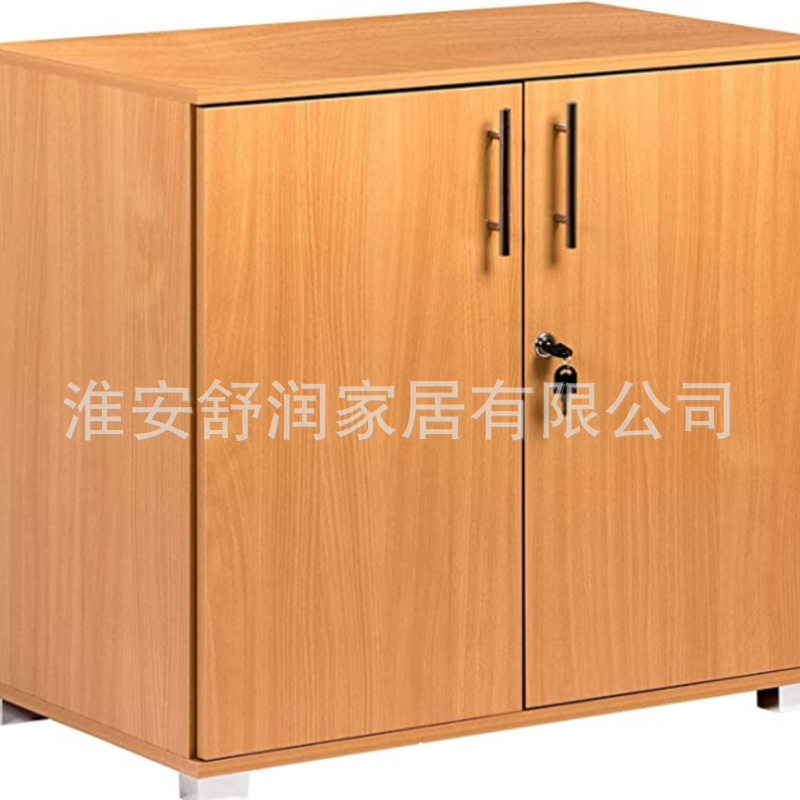 定制办公木质储物柜多层文件柜落地办公室资料橱柜双层落地置物架