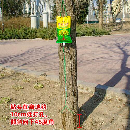 树木营养液吊针液大树吊针袋果树桂花树移栽栽树生根输液袋通用型