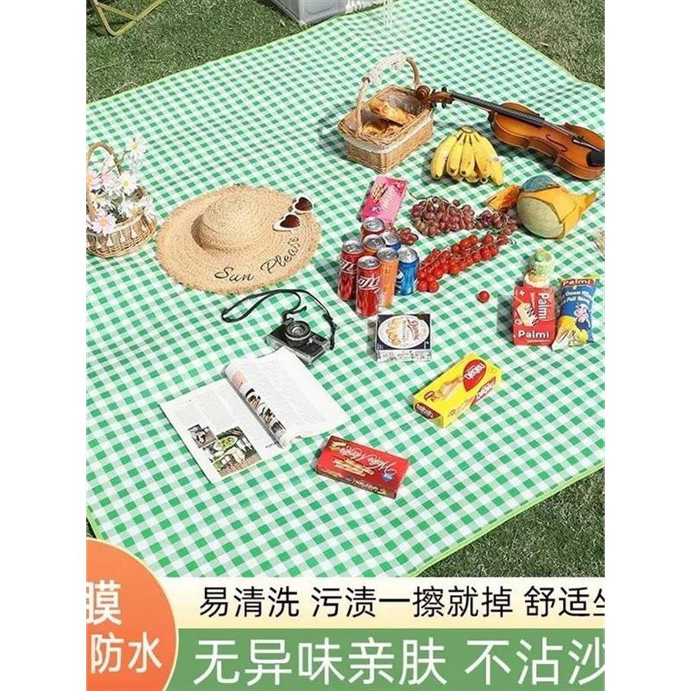 加厚彩膜野外露营垫户外野炊垫野餐布垫草坪垫子铺地宿舍防潮床垫图片