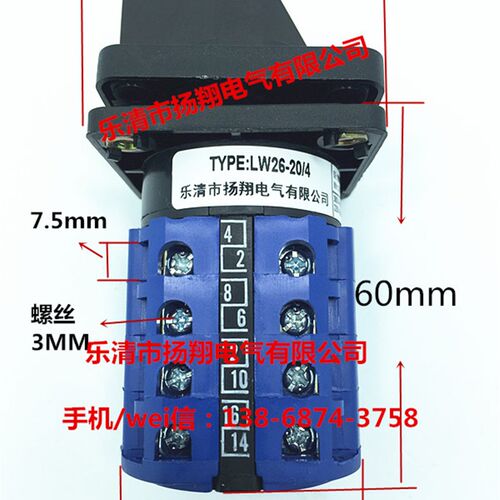 LW39B LW38D-16 LW32 LW28 LW26-20 D404/4 A双电源电瓶转换开关