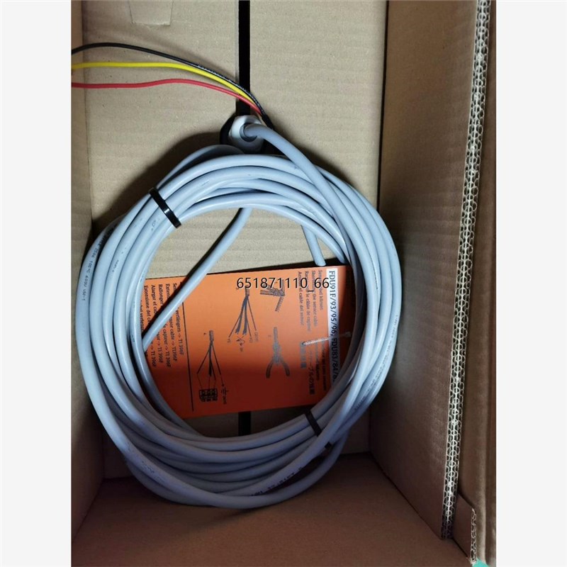 E+H 超声波液位计探头 FDUN91-RG2AA