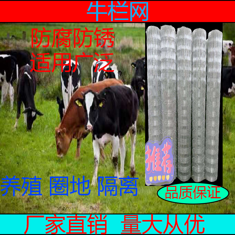 镀锌防锈铁丝网钢丝网防护养殖网热镀锌牛栏网养牛养羊果园围栏网