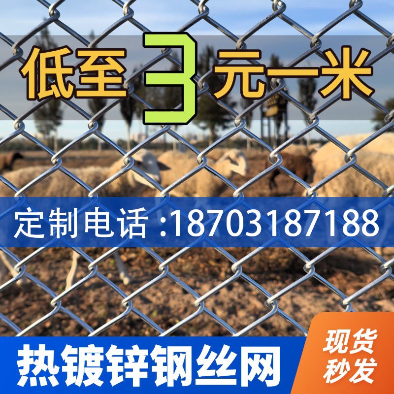 镀锌钢丝网围栏钢丝网勾花网养殖网防盗养鸡养狗防护网格围栏