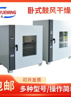 GZX-GF101-3-BS-II液晶屏鼓风干燥箱600*600*700300℃鼓风干燥箱