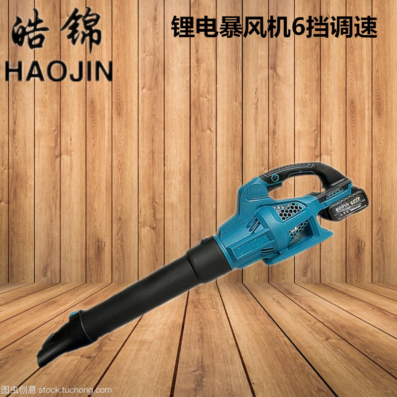 无线锂电除雪吹叶机园林工具