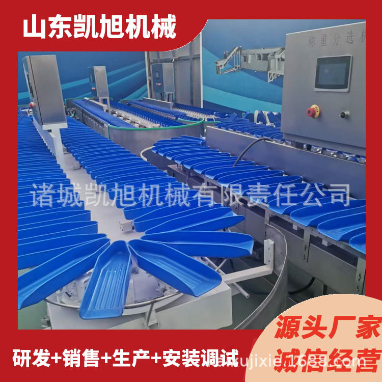 油桃蟠桃自动称重分拣机 水果重量筛选分级机 高速智能选果设备