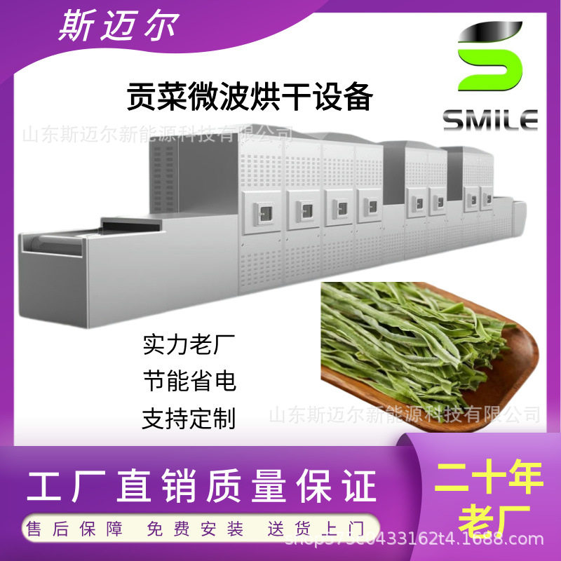贡菜微波烘干设备 流水线藜麦烘焙机 大米青稞烘干设备