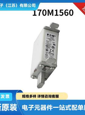 170M6951 170M6958 170M6959 170M6960原包快速熔断器 保险丝