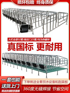 母猪定位栏带漏粪板热镀锌管落地限位单体栏产床猪圈围栏养殖设备