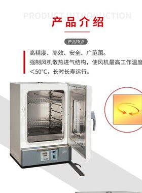 电热鼓风干燥箱WGL-45L 泰斯特350*350*350液晶屏电热鼓风干燥箱