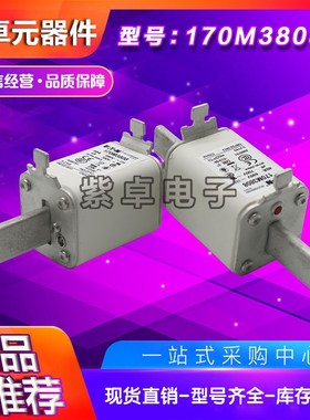 170M3318 170M3319 170M3320 170M3321伊顿巴斯曼快速熔断器