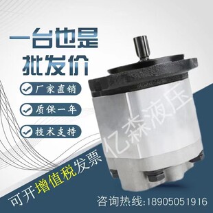 布雷维尼BREVINI齿轮泵OT300 P22/28/32/38/42/48/53/63/73/82/90