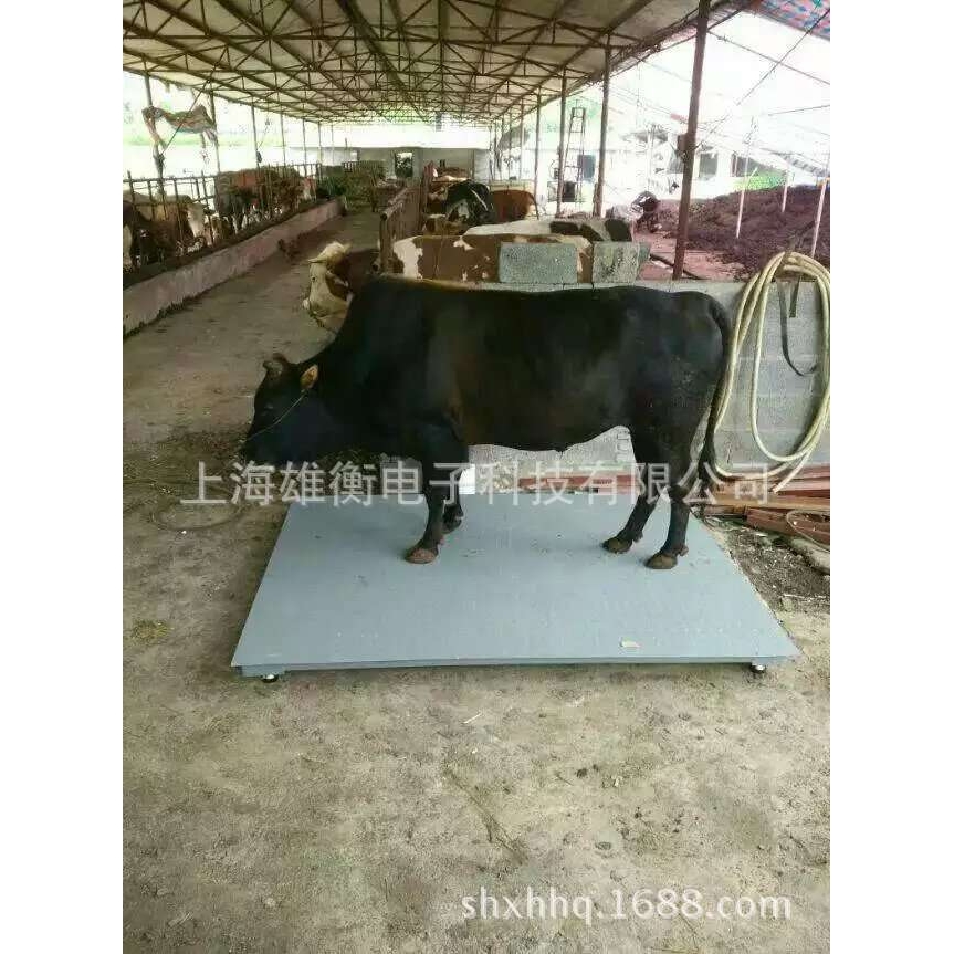 养殖行业地磅秤 1-3吨牲畜称重电子平台磅秤 3吨大台面小地磅