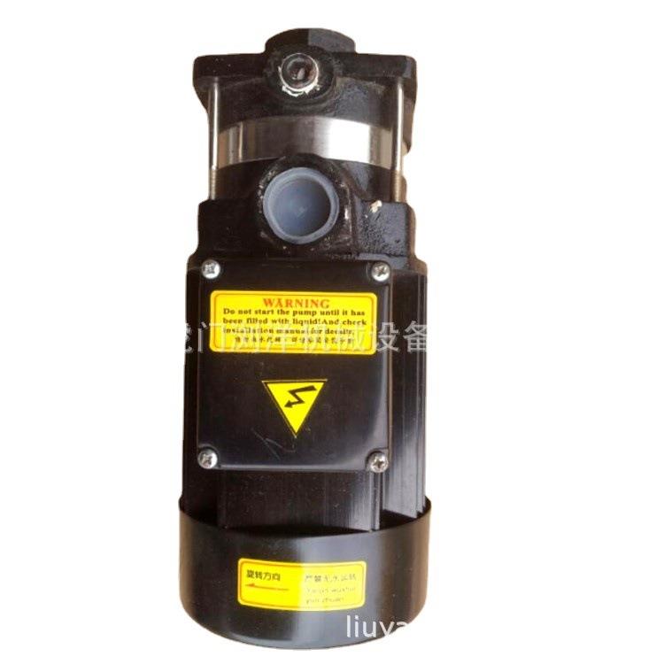 广东YZH2-30 750W火花机吸油泵 机床油泵球铁其它电动直销