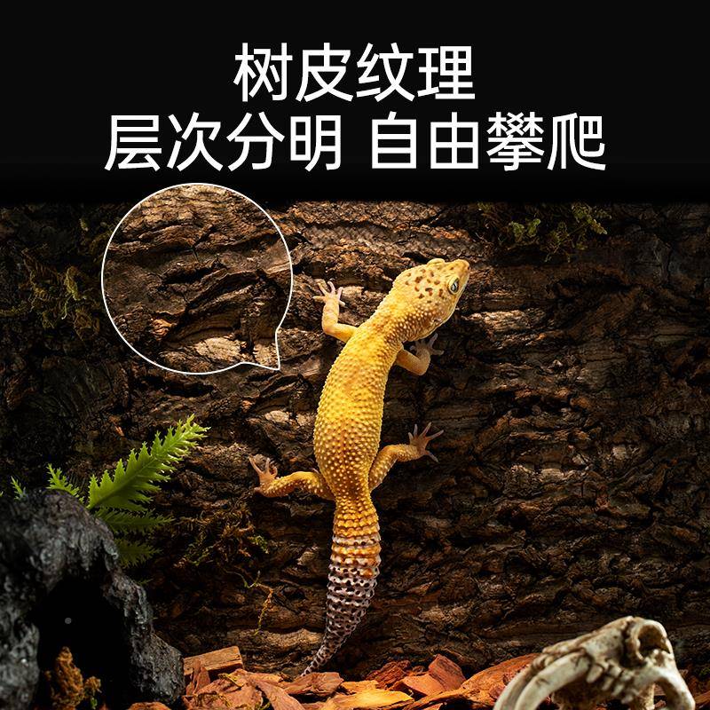 鳞其槟爬龟造景宠专背皮景板898天然香树宫蜥饲箱养用生守态蜴造
