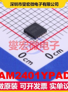 PAM2401YPADJ WDFN-12-EP(3x3) DC-DC电源转换器芯片IC