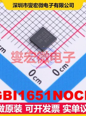 GBI1651NOCR WSON-10-EP(4x4) DC-DC电源转换器芯片IC