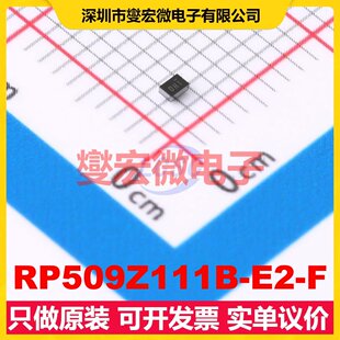 RP509Z111B-E2-F WLCSP-6-P6 DC-DC电源转换器芯片IC