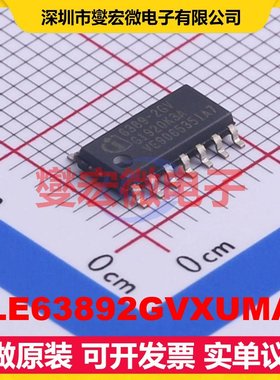 TLE63892GVXUMA2 DSO-14 DC-DC电源转换器芯片IC