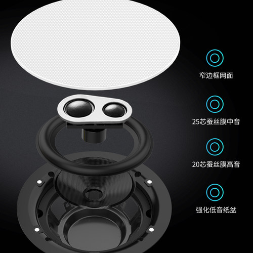 创智JiHiFi新J9家庭背景音乐主机系统套装高低音分频吸顶喇叭音响