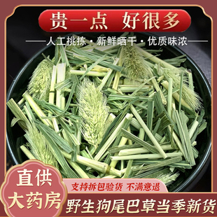 狗尾巴草中药野生光明草正宗狗尾草干毛虫草谷莠子九尾草特级500g