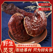 灵芝野生 正宗中药材长白山紫灵芝可切片打粉灵芝泡酒专用 正品