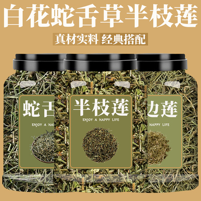 半枝莲白花蛇舌草半边莲茶中药材正品野生新鲜和百花草官方旗舰店