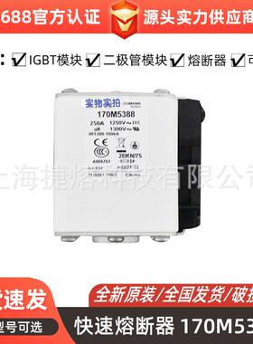 170M5388170M5398快速熔断器保险丝电子元器件量大价优