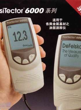 狄夫斯高DeFelsko涂镀层测厚仪 膜厚仪 6000NKS3 N型探头 0~13mm