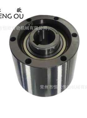 抛光机用超越离合器MZ30G-22