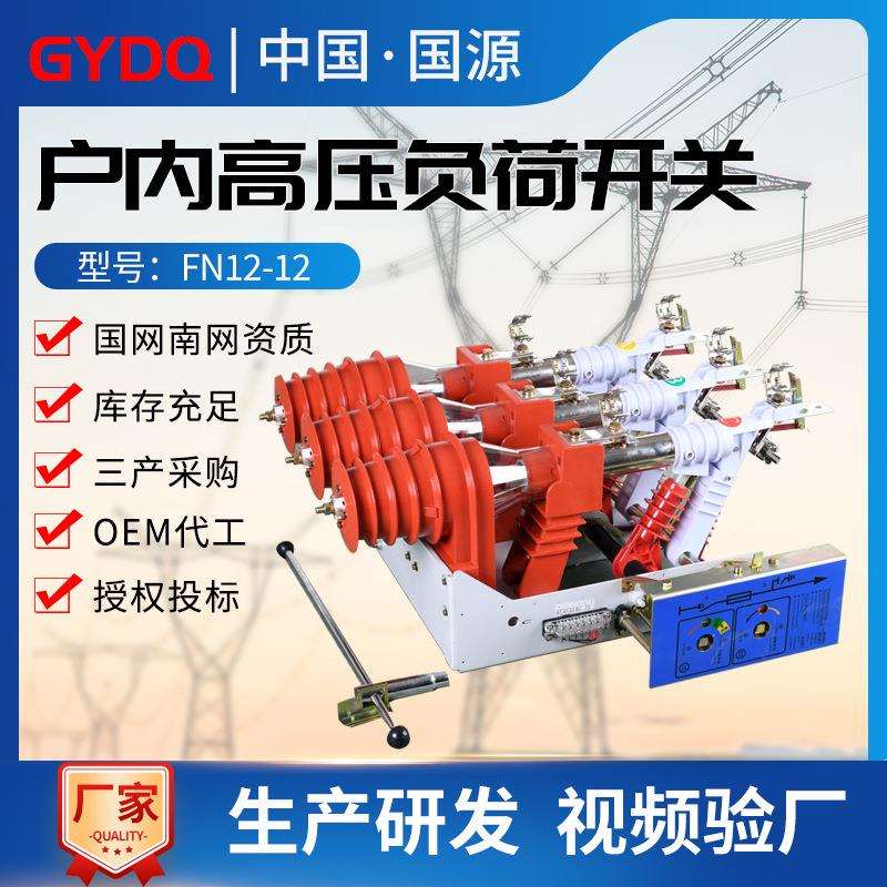 国源FN12高压真空负荷开关FN12-12RD/T125户内10kv带熔断器带接地