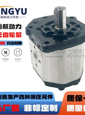 博顿油泵Boden齿轮泵BHP3B0BHP3B1BHP3A0BHP3A1BHM3B1液压泵